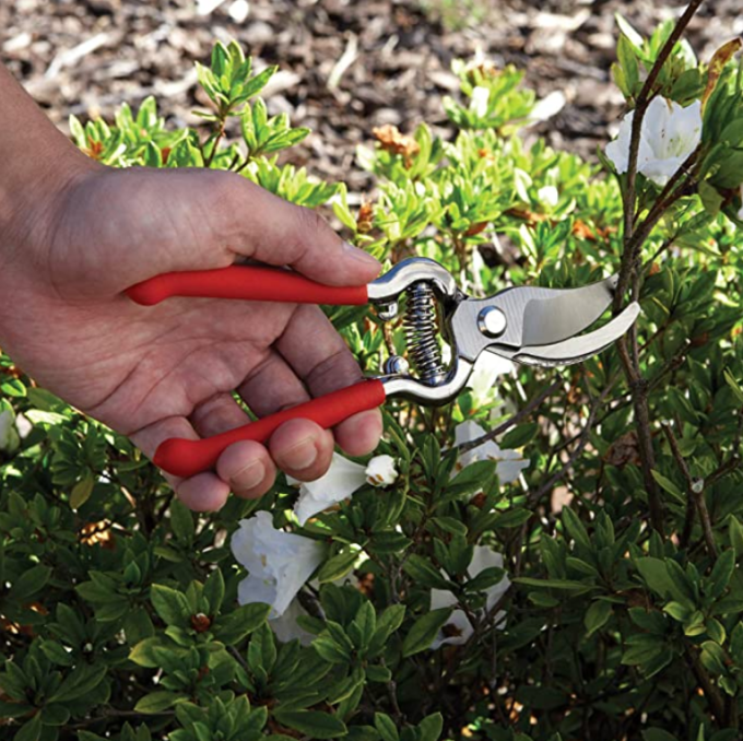 Bond Drop Forged Pruning Set